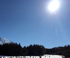 今年も「宝探し」をしていきます！