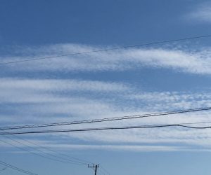 台風15号被害で業務に支障、大変ご迷惑おかけしました