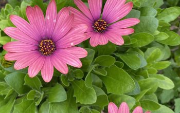 ブログまたはWEBサイトを提供させて頂いている一部のお客様へご連絡