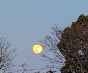 年末年始休業のお知らせ