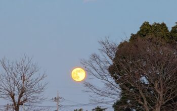 年末年始休業のお知らせ